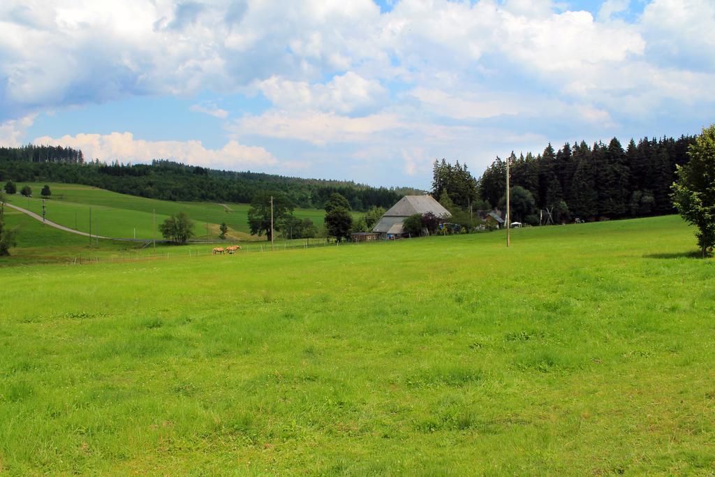 Ferienwohnung Schwarzwaldhof Titisee-Neustadt Exterior photo